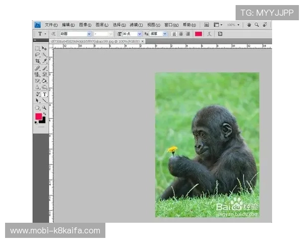 如何在PS游戏官网注册账号并保障账号安全的详细步骤